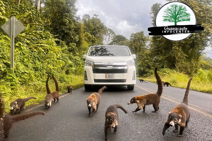 Costa Rica Private Guanacaste Airport ( LIR ) Arrival Transfer - Photo 1 of 9